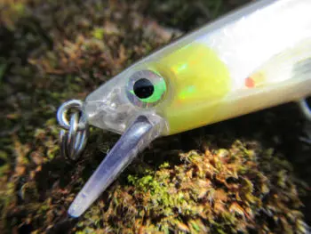 Leurre Rapala Ripstop