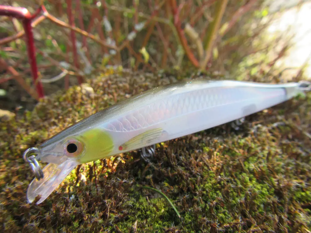 Leurre Rapala Ripstop