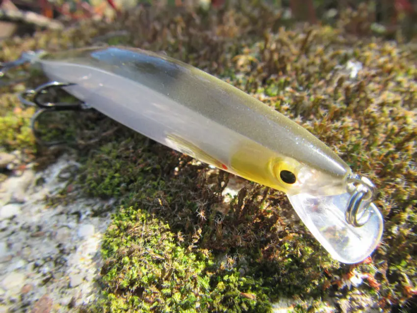 Leurre Rapala Ripstop