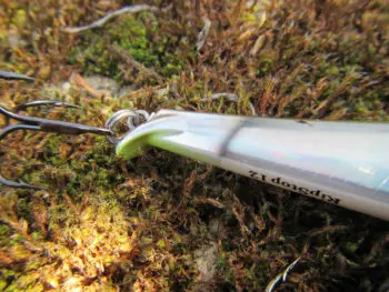 Leurre Rapala Ripstop