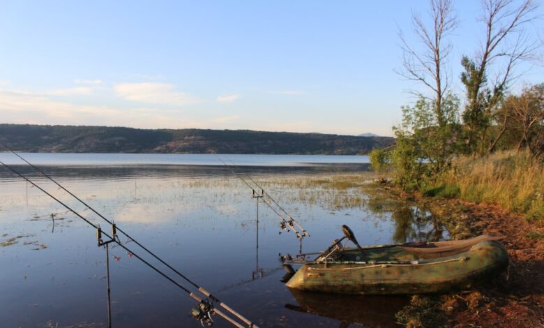 peche carpe barrage printemps 01