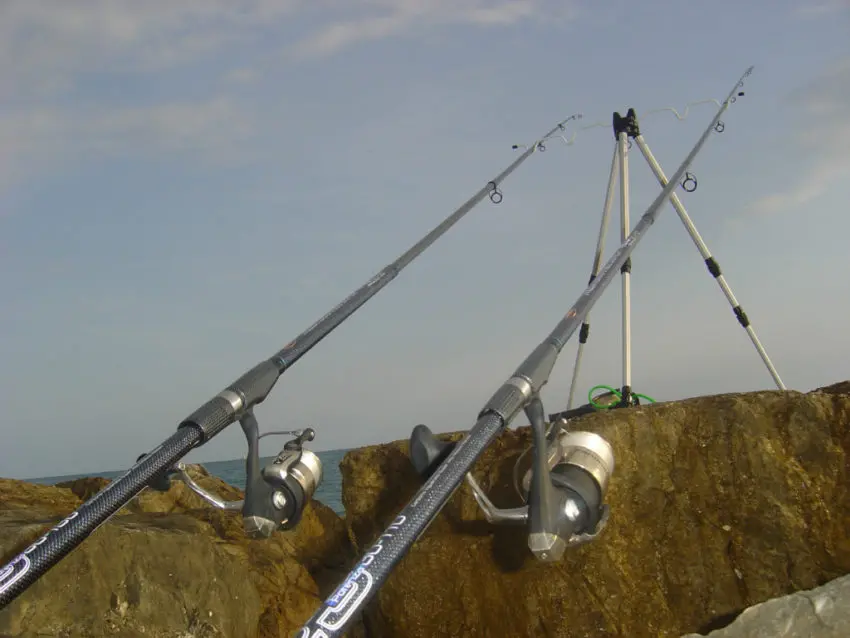 Pêcher des grosses dorades depuis le bord