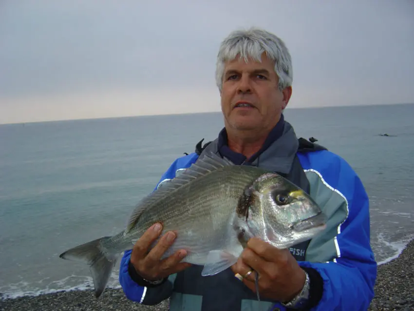 Pêcher des grosses dorades depuis le bord