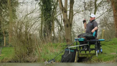 Pêche de la tanche à l'anglaise fixe en étang