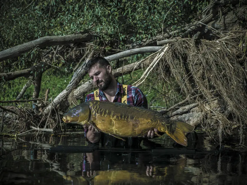 Pêche à la carpe en rivière