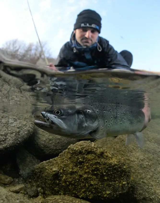 Comment prendre une photo de poisson à la pêche