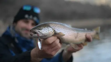 Comment prendre une photo de poisson à la pêche