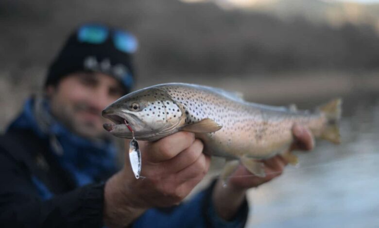 Comment prendre une photo de poisson à la pêche