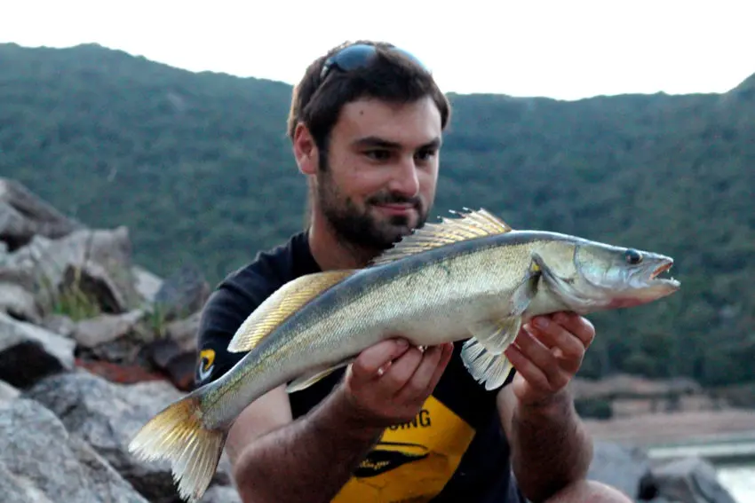 Comment prendre une photo de poisson à la pêche