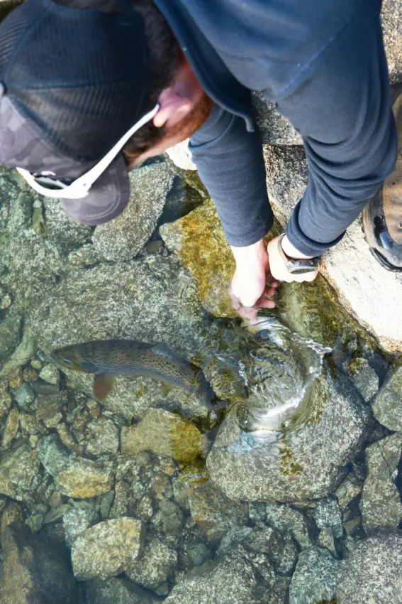 Comment prendre une photo de poisson à la pêche