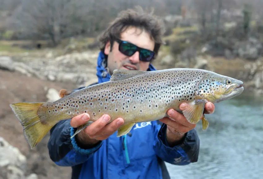 Comment prendre une photo de poisson à la pêche