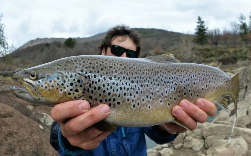 Comment prendre une photo de poisson à la pêche