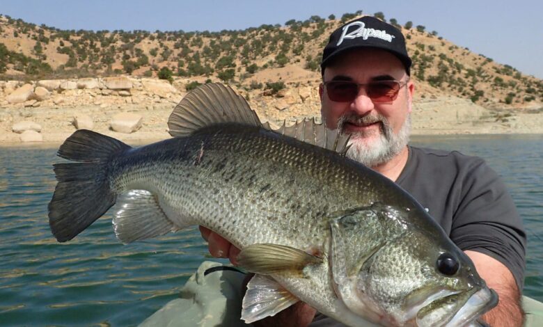 Pêche du black bass au Maroc