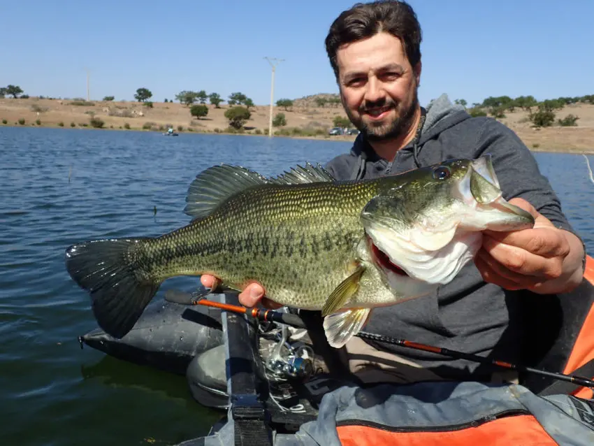 Pêche du black bass au Maroc