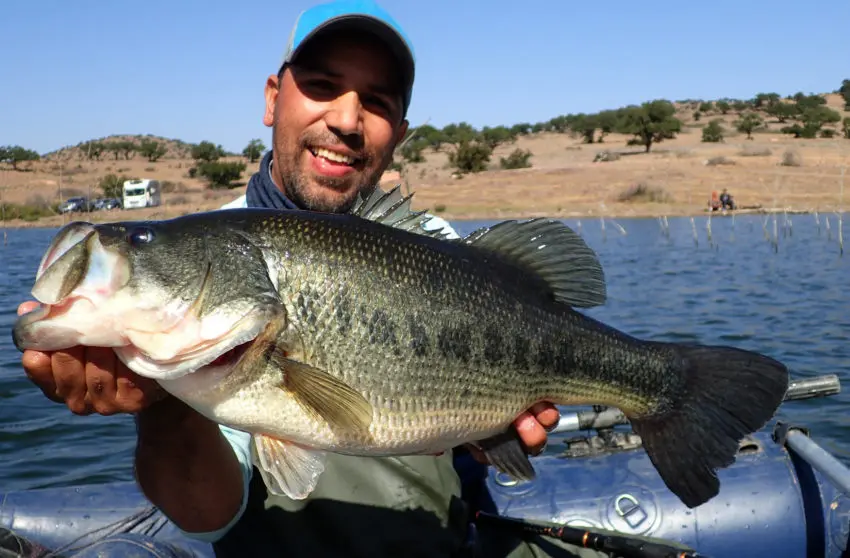 Pêche du black bass au Maroc