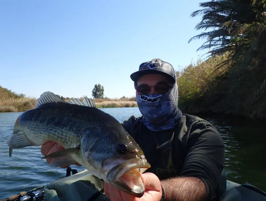 Pêche du black bass au Maroc