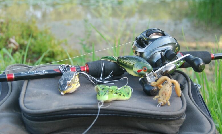 Pêche des carnassiers à la grenouille en été