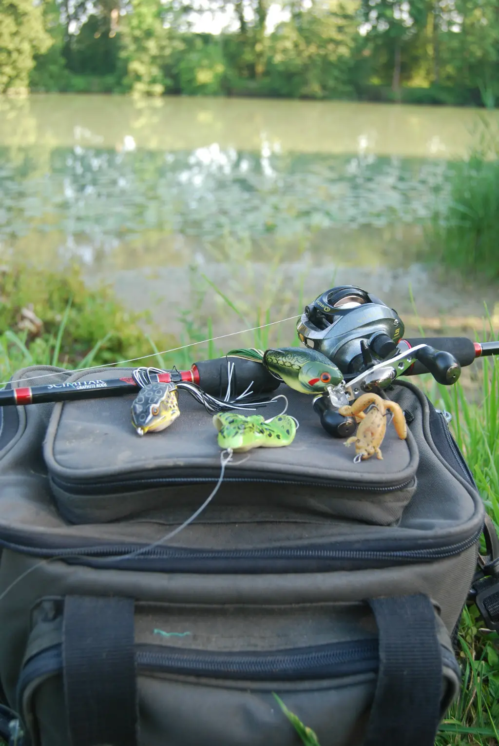 Pêche des carnassiers à la grenouille en été