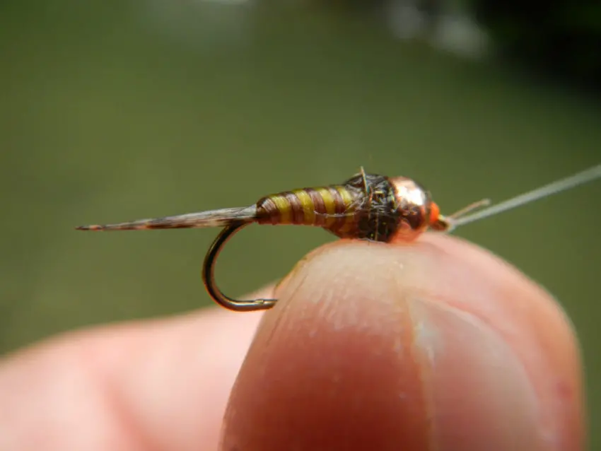 Pêche de la truite au toc en début de saison