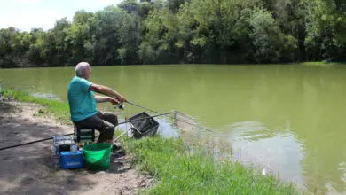 Pêche à l'anglaise