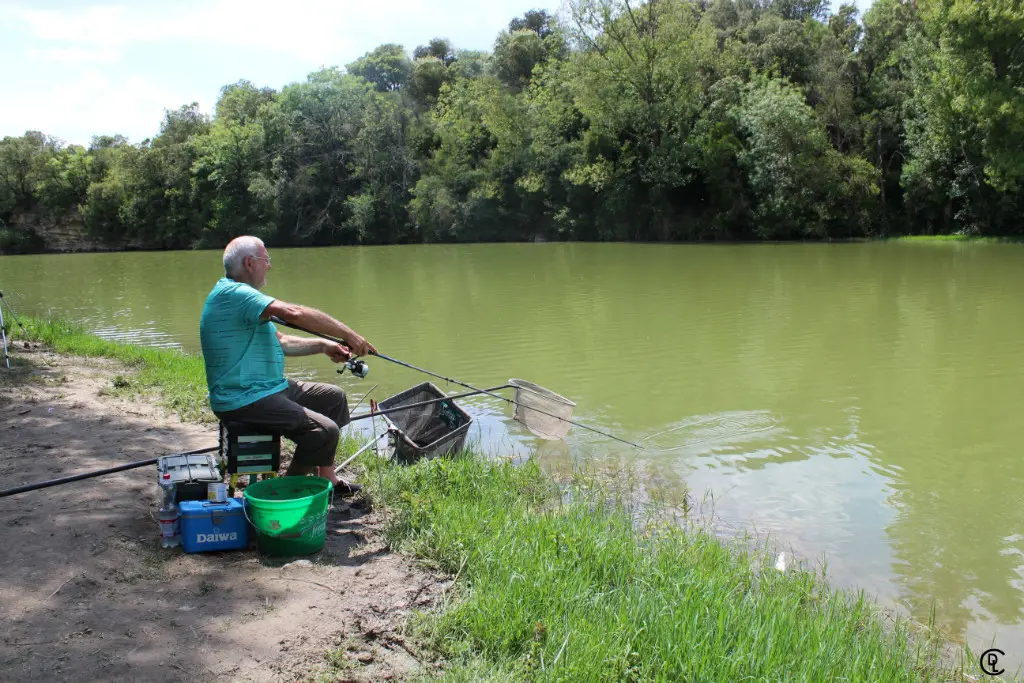 Pêche à l'anglaise