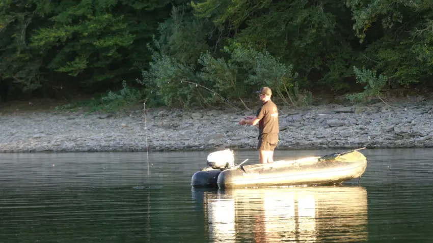 Comment pêcher la carpe en été ?