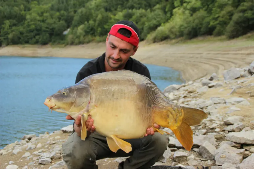 Comment pêcher la carpe en été ?