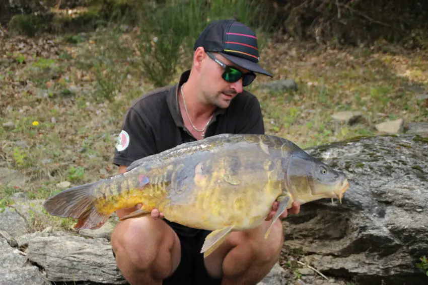 Comment pêcher la carpe en été ?