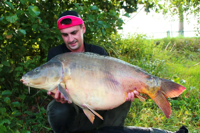 Comment pêcher la carpe en été ?