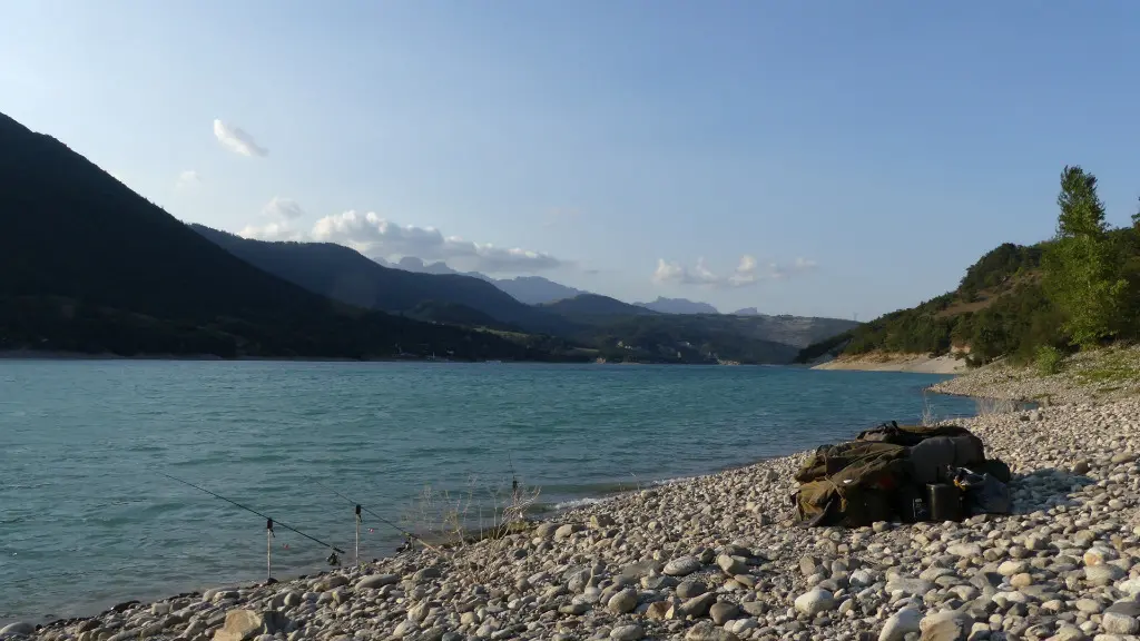 Comment pêcher la carpe en été ?