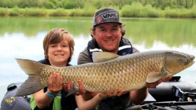 Pêche à la carpe avec son fils