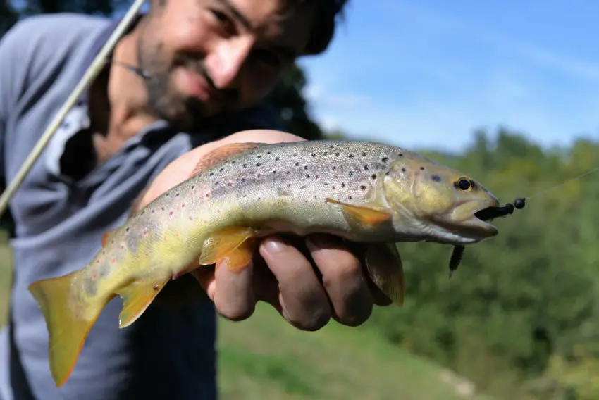 Pêche en famille