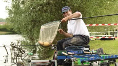 Pêche de la tanche à l'anglaise coulissant en étang