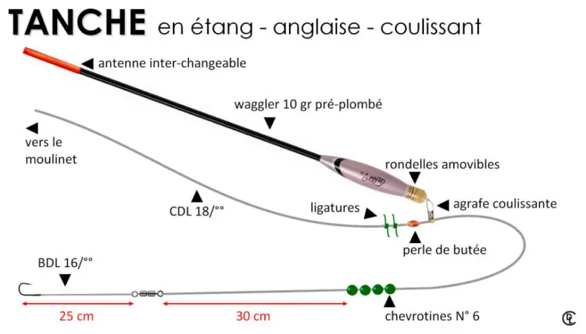 Pêche de la tanche à l'anglaise coulissant en étang