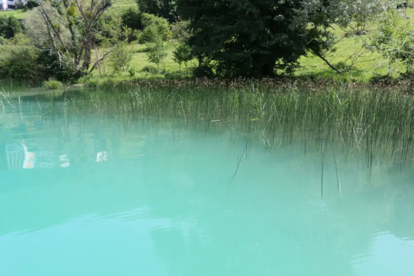 Pêche de la carpe sur les spots délaissés