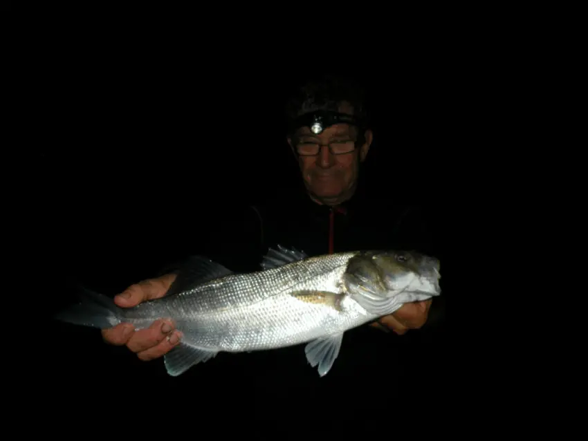 Pêche en surfcasting depuis la plage