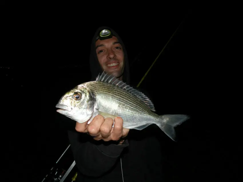 Pêche en surfcasting depuis la plage