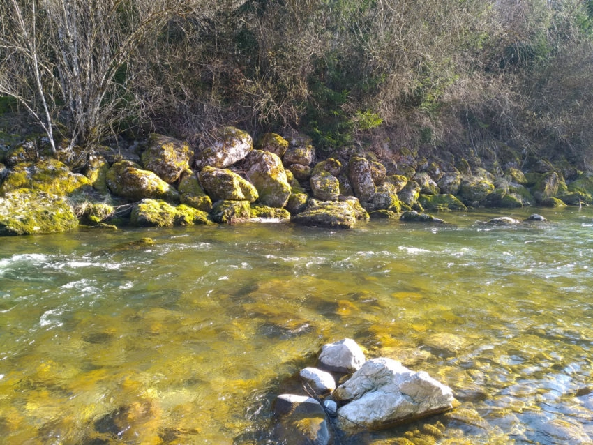 Pêche de la truite au leurre en été