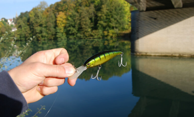 Leurre crankbait Storm Arashi Tiger 10