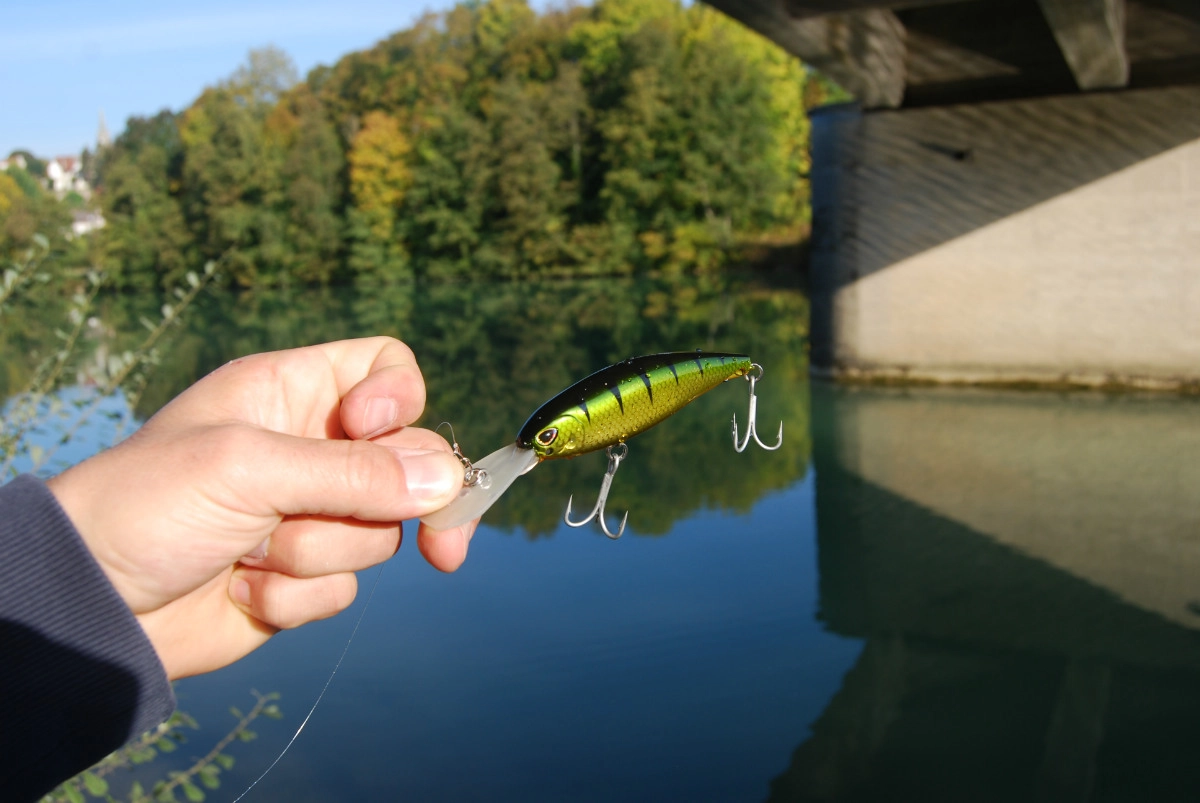 Leurre crankbait Storm Arashi Tiger 10