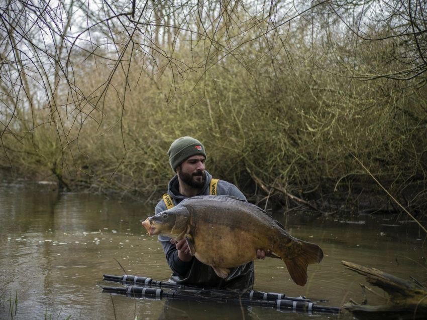 Pëche de la carpe en eau peu profonde