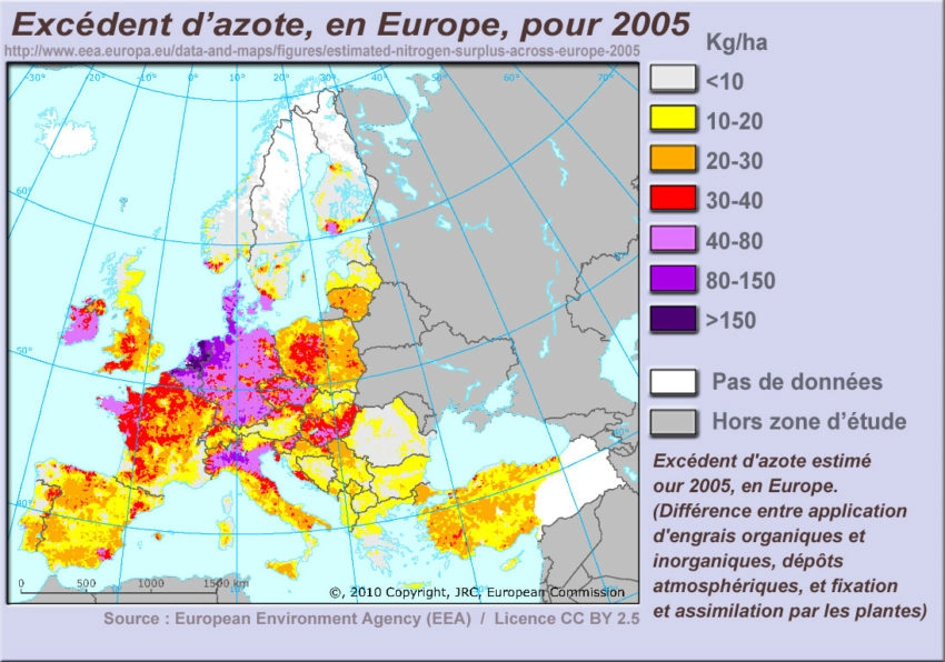 Pëche de la carpe en eau peu profonde