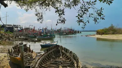 Pêche en eau douce en Thaïlande