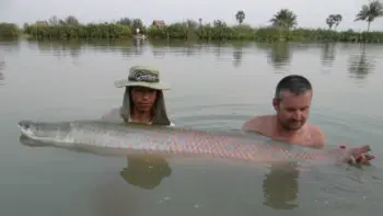 Pêche en eau douce en Thaïlande