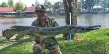 Pêche en eau douce en Thaïlande