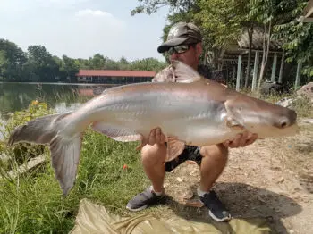 Pêche en eau douce en Thaïlande