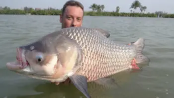 Pêche en eau douce en Thaïlande