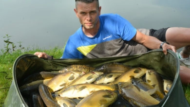 Pêche au method feeder pour les gros poissons