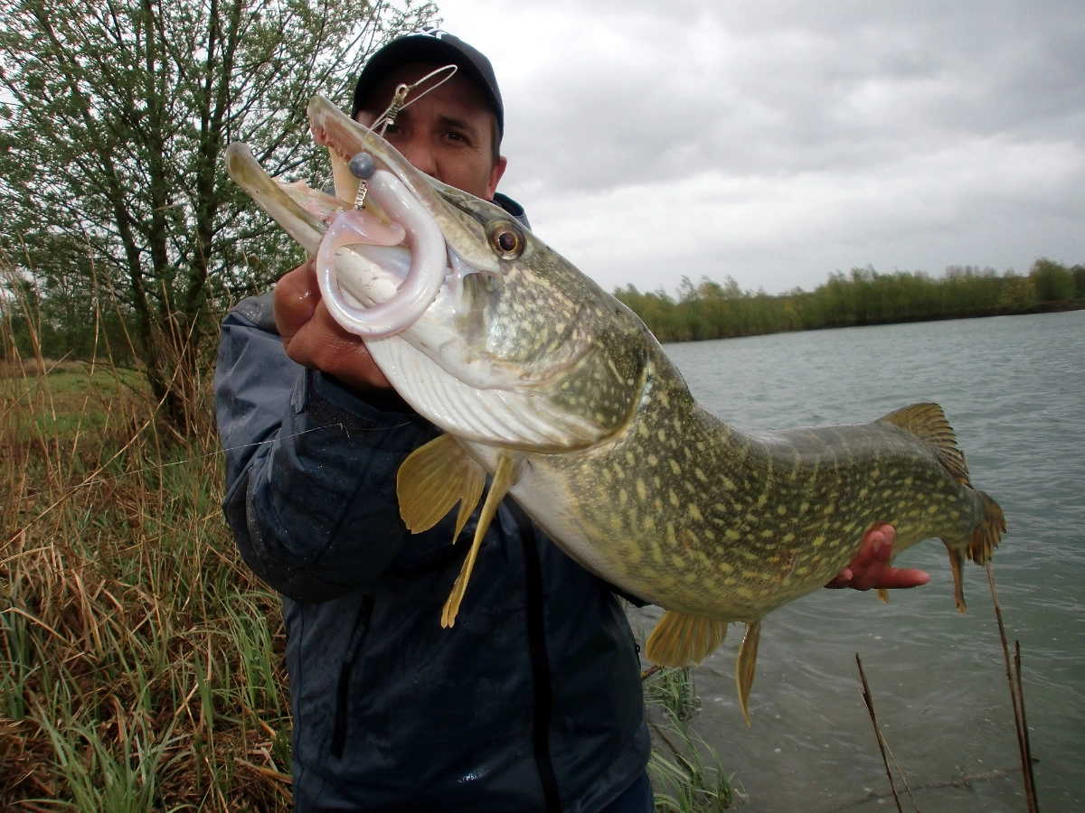 armement leurre souple peche carnassier 03