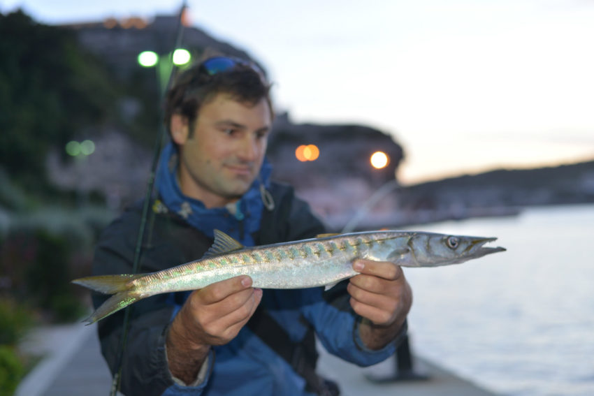 Pêche du barracuda en méditerranée